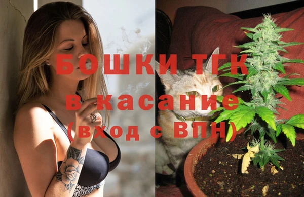 трава Арсеньев