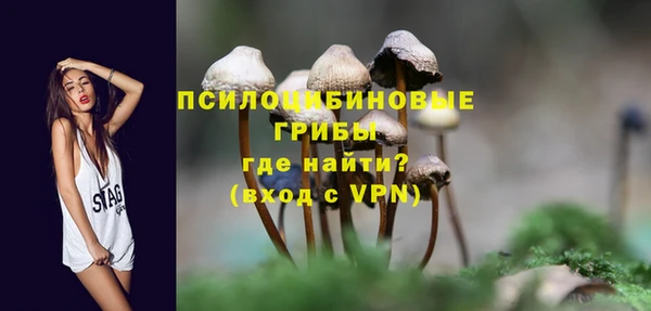 трава Арсеньев
