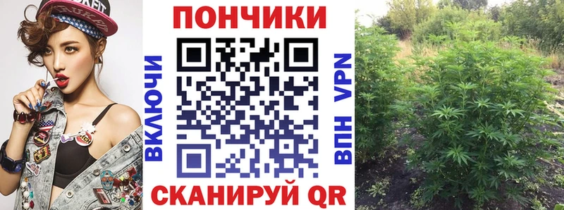 наркота  Свободный  Конопля VHQ 